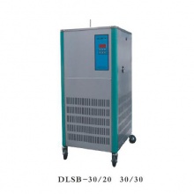 DLSB-30/20 低溫冷卻液魂環泵 冷卻水循環機